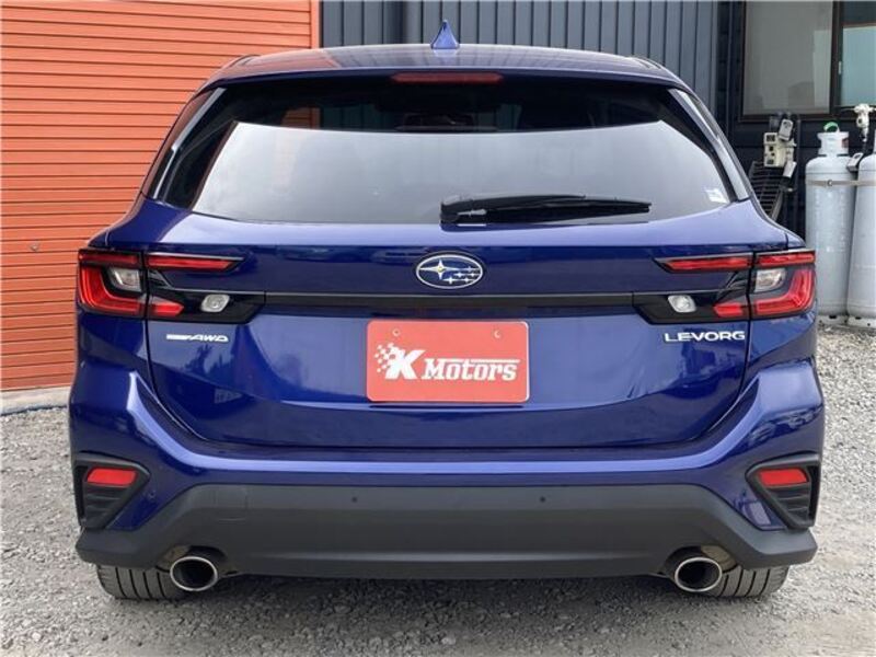 LEVORG