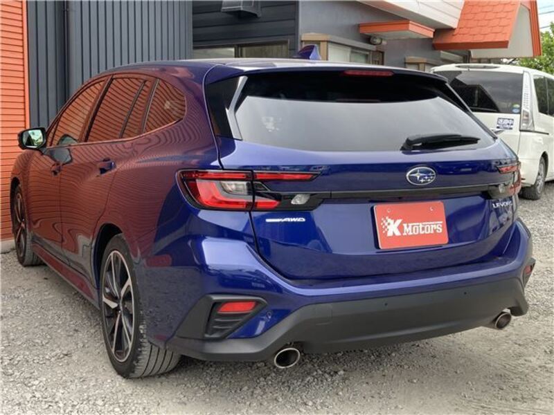 LEVORG