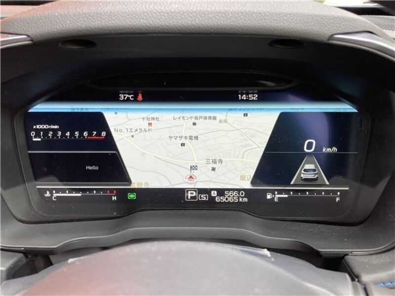 LEVORG