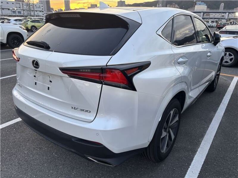 NX