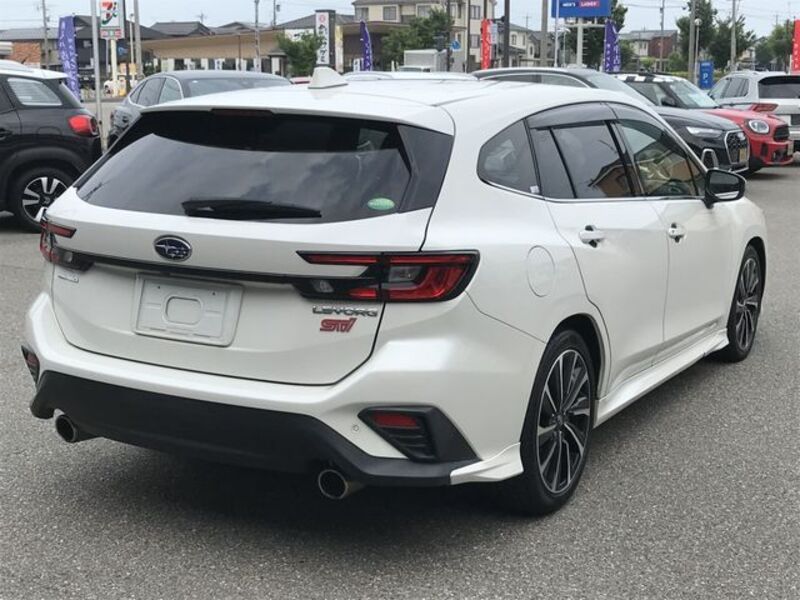 LEVORG