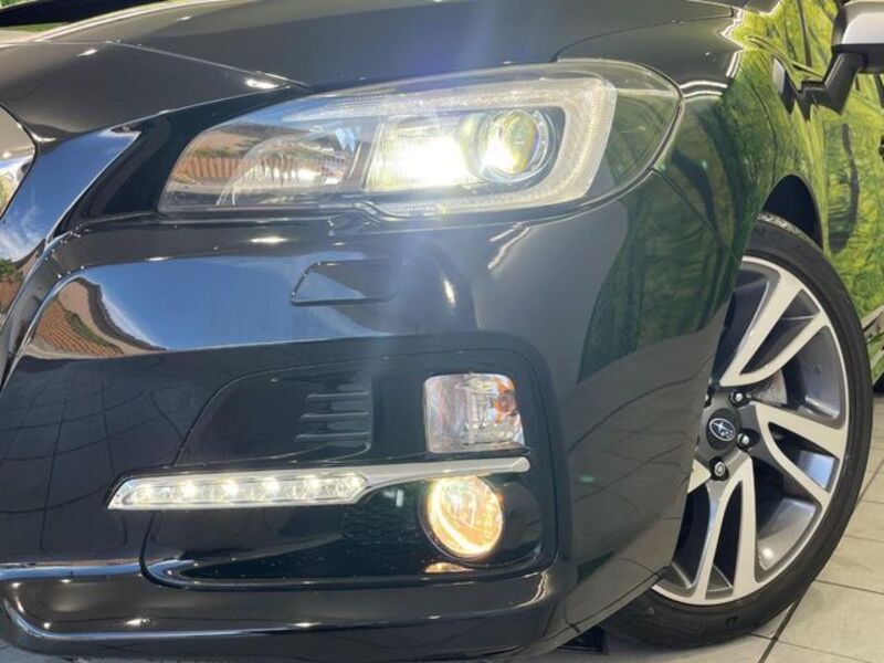 LEVORG