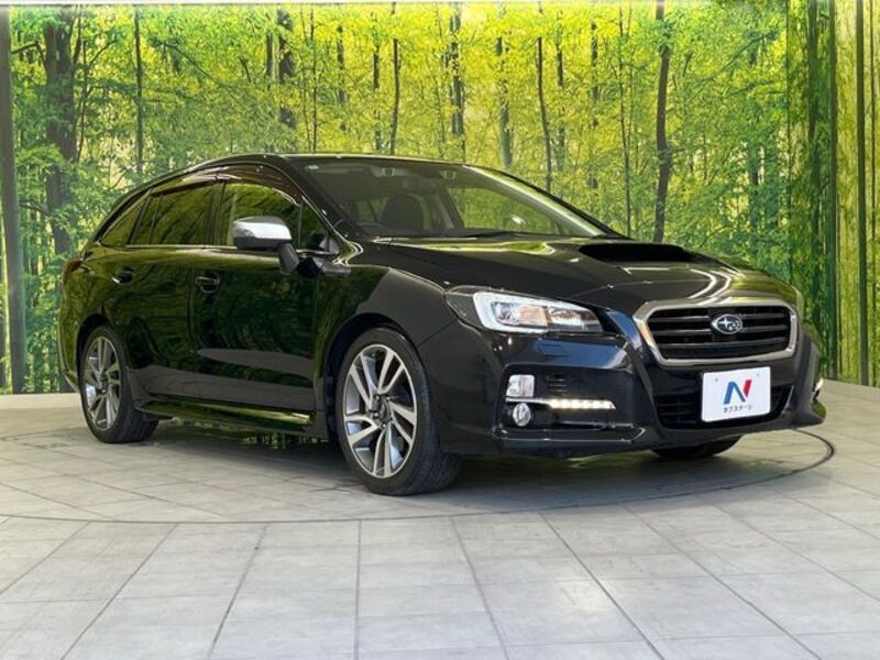 LEVORG
