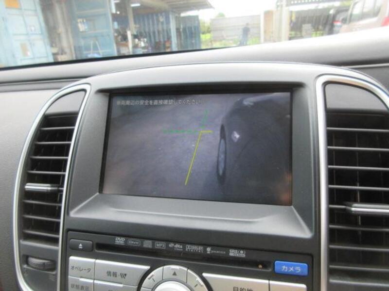 BLUEBIRD SYLPHY