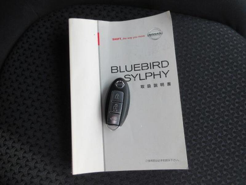 BLUEBIRD SYLPHY