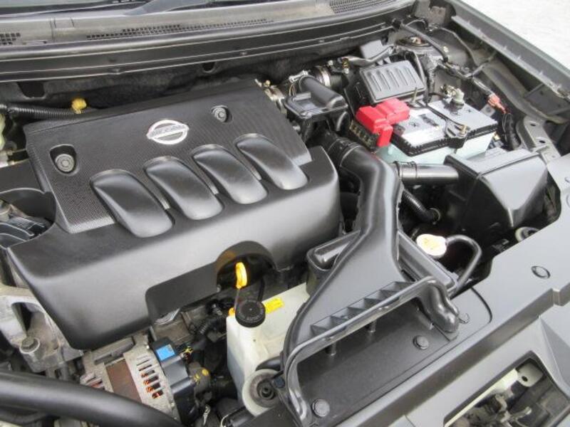 BLUEBIRD SYLPHY