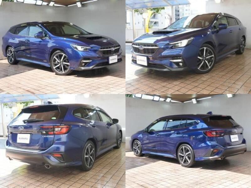 LEVORG