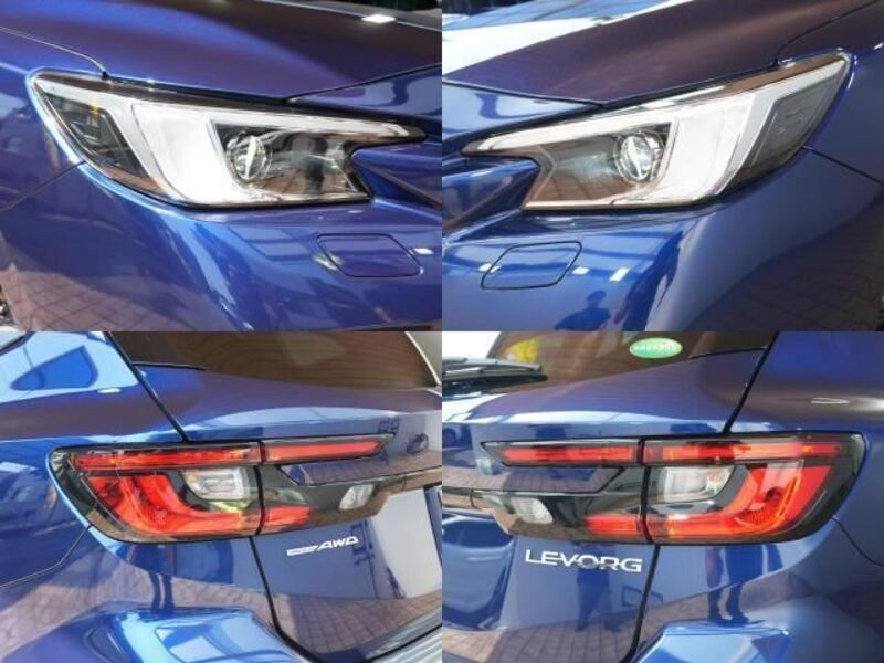 LEVORG