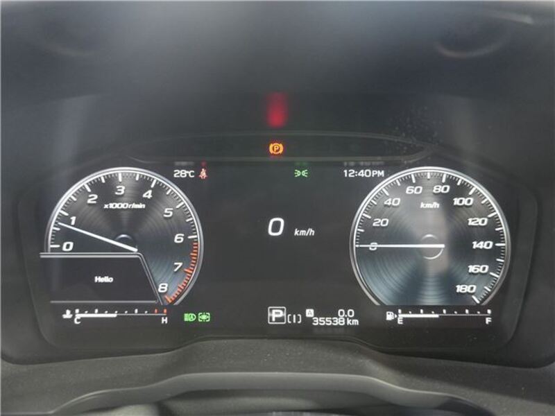 LEVORG