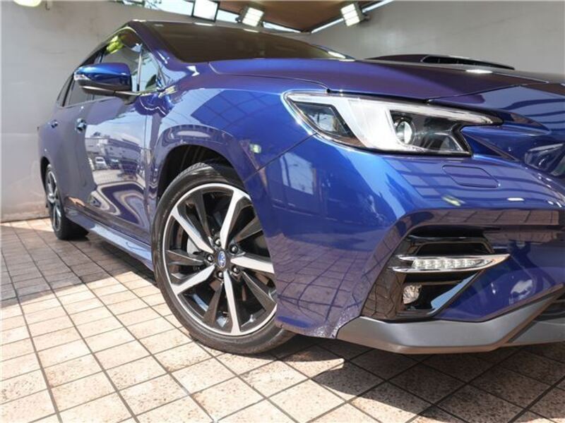 LEVORG