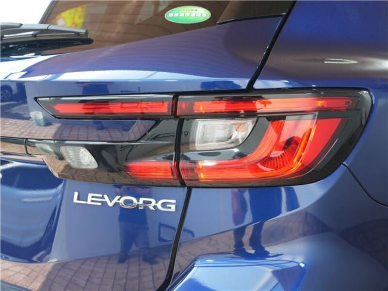 LEVORG