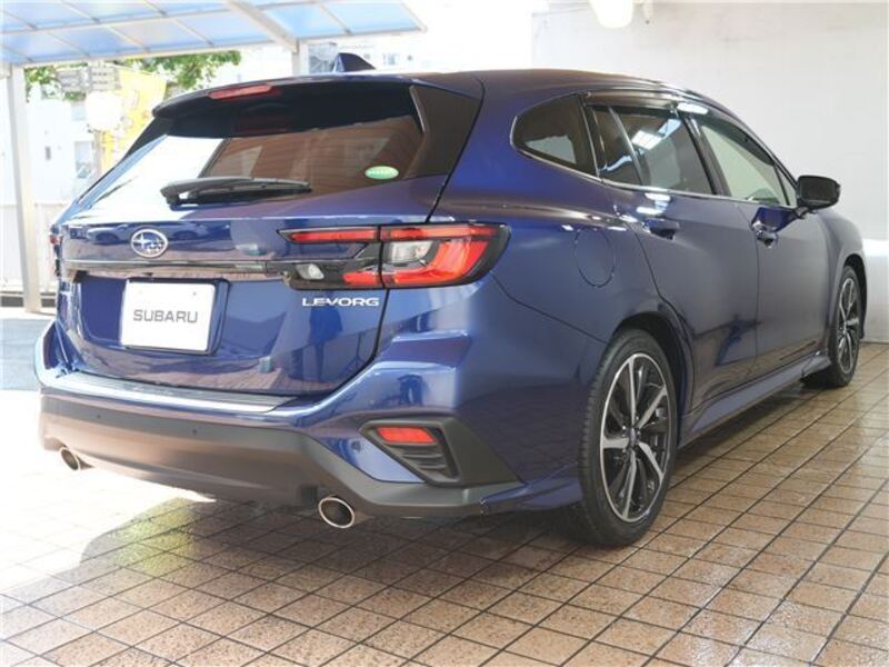 LEVORG