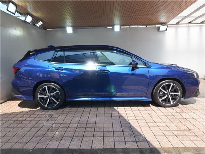 LEVORG
