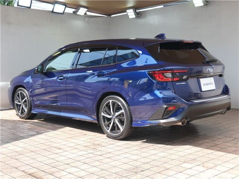 LEVORG