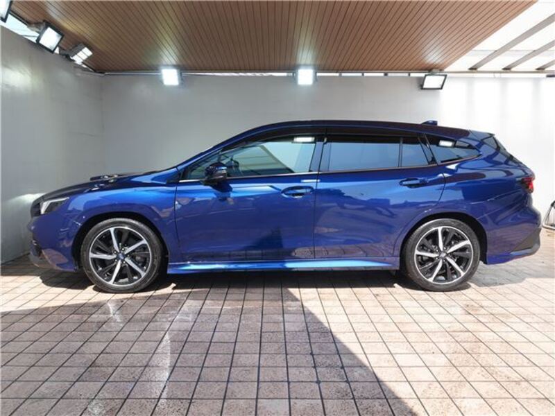 LEVORG
