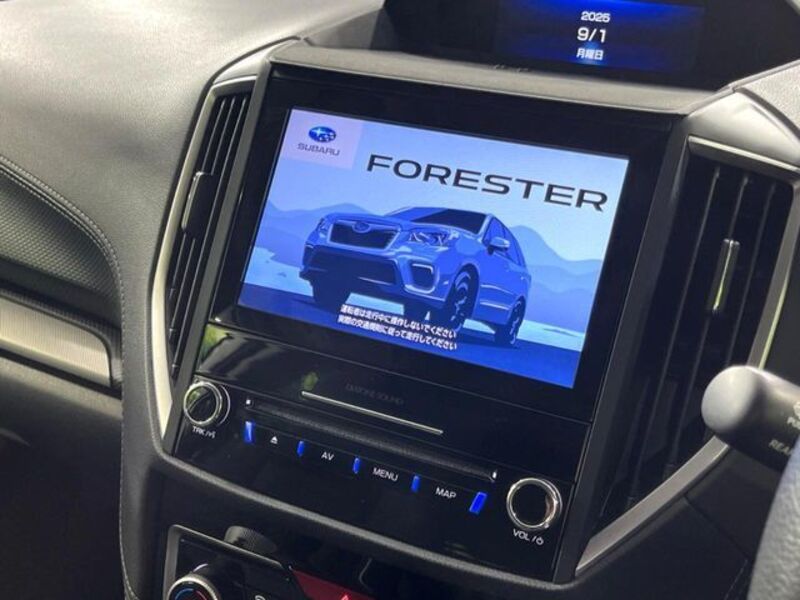 FORESTER