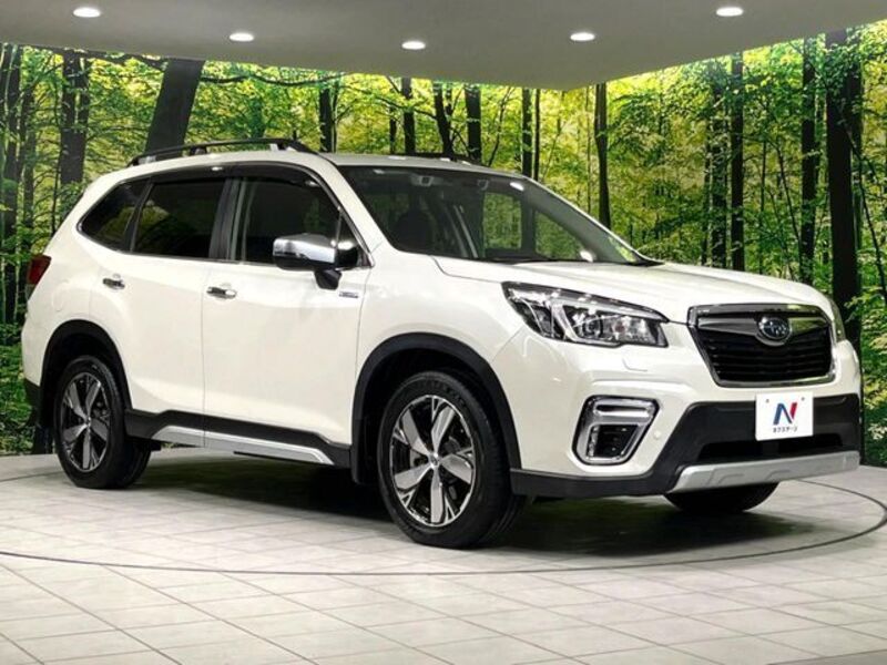 FORESTER