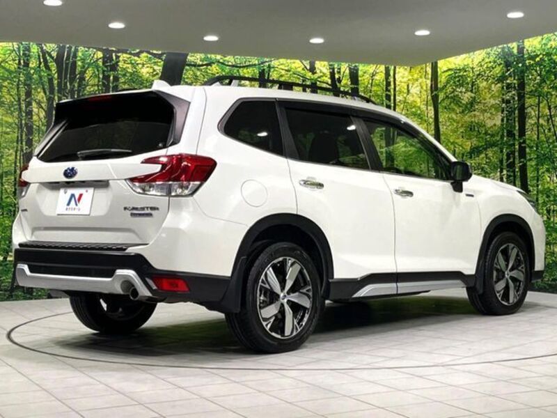 FORESTER