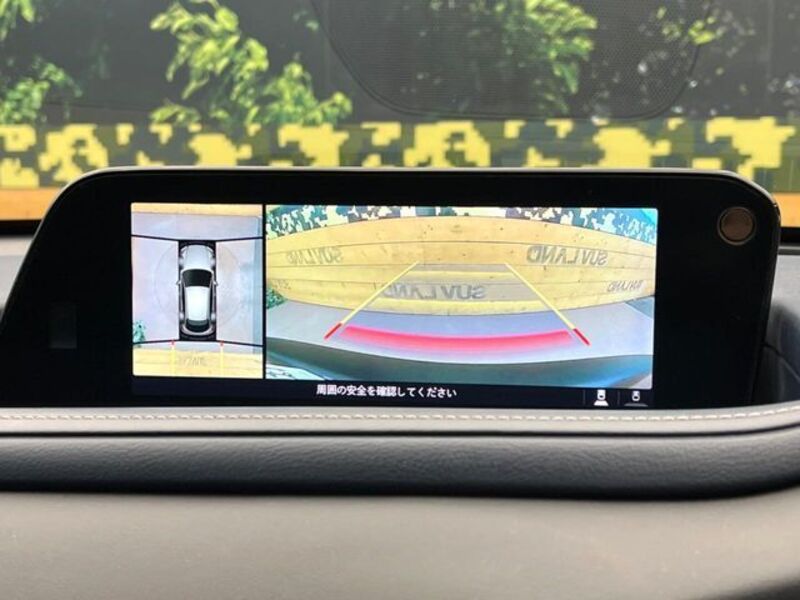 CX-30