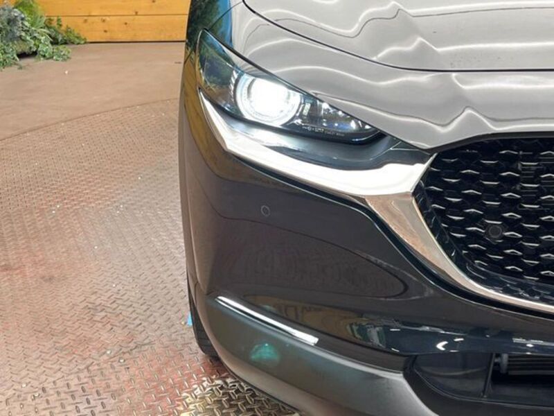 CX-30