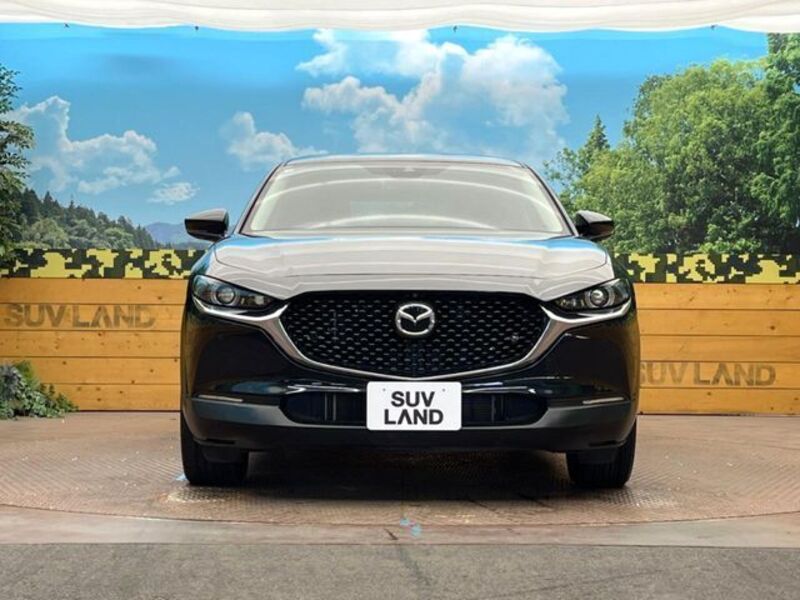 CX-30