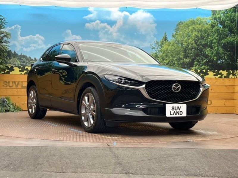 CX-30