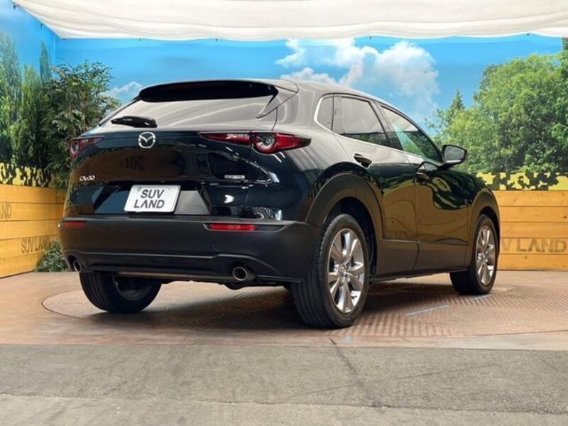 CX-30