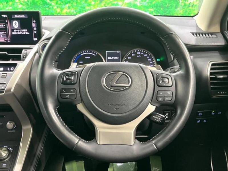 NX