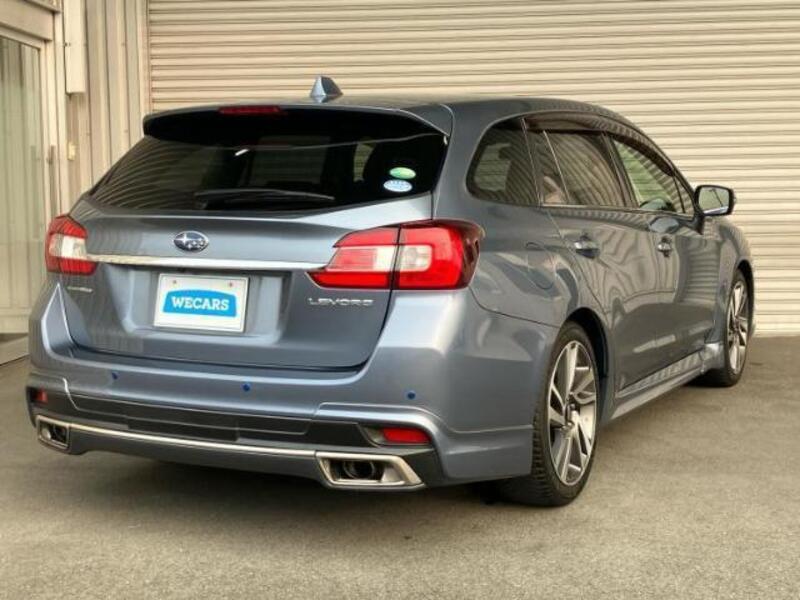 LEVORG