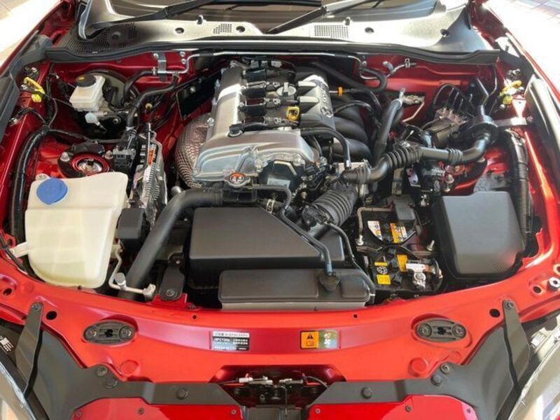 ROADSTER RF