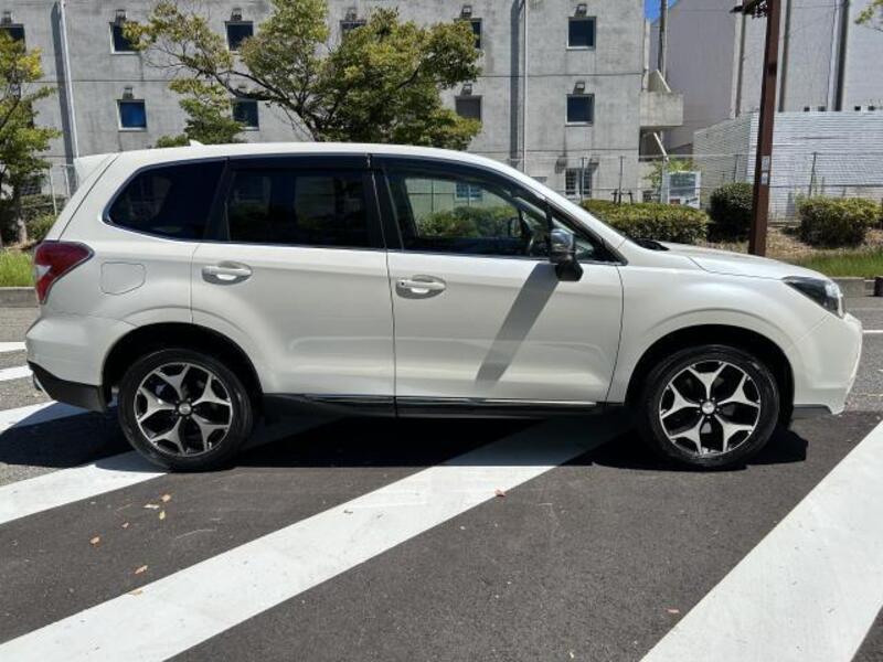 FORESTER