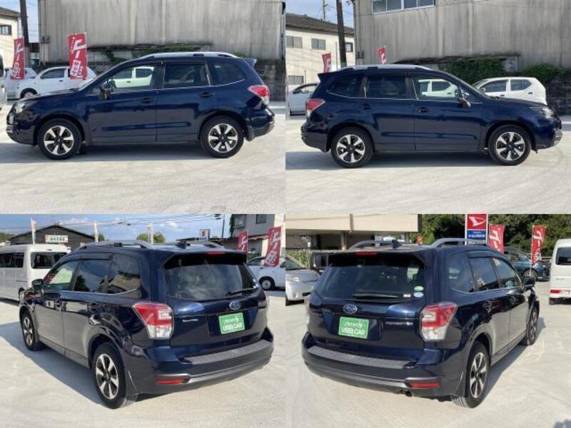 FORESTER