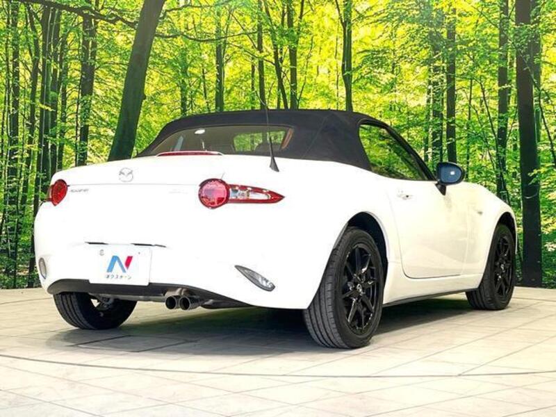 ROADSTER