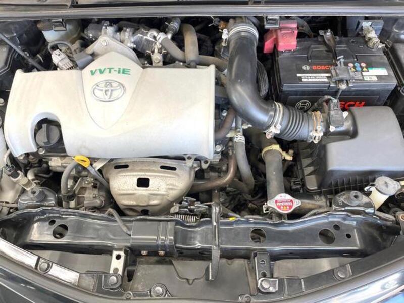 VITZ