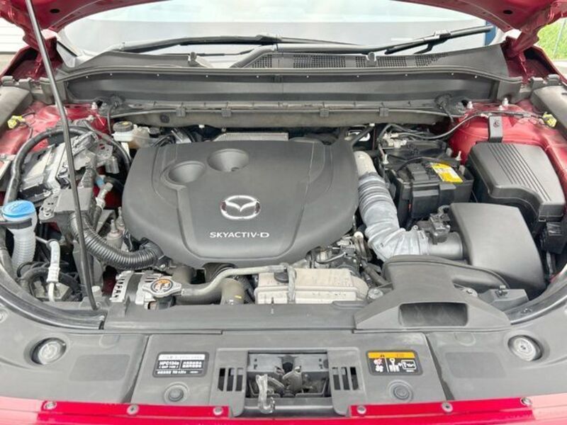 CX-8