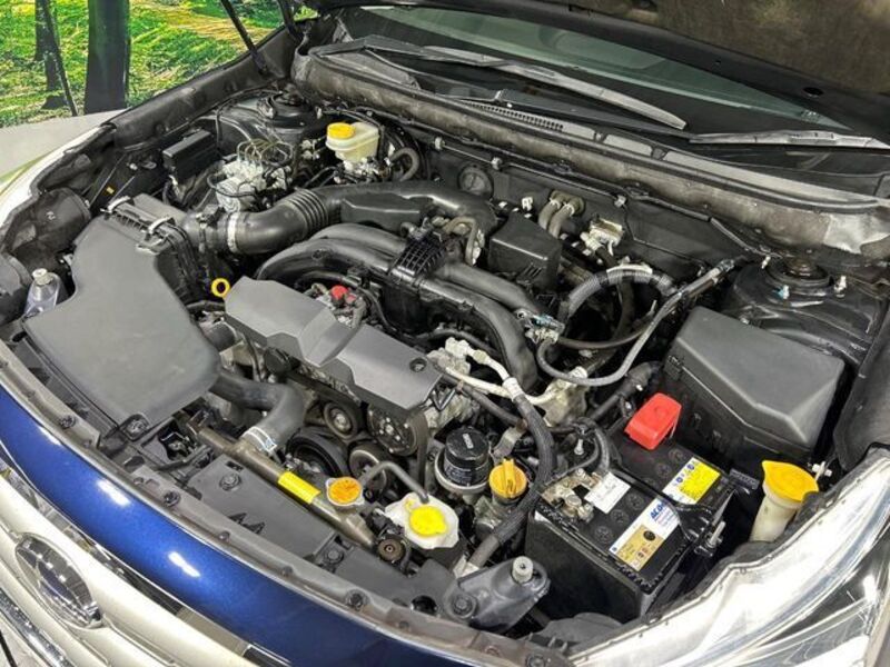 LEGACY OUTBACK