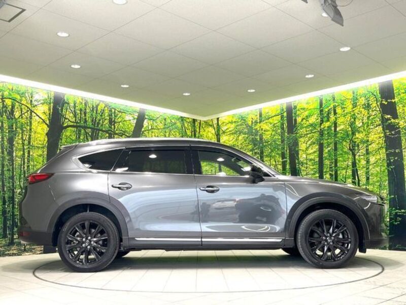 CX-8