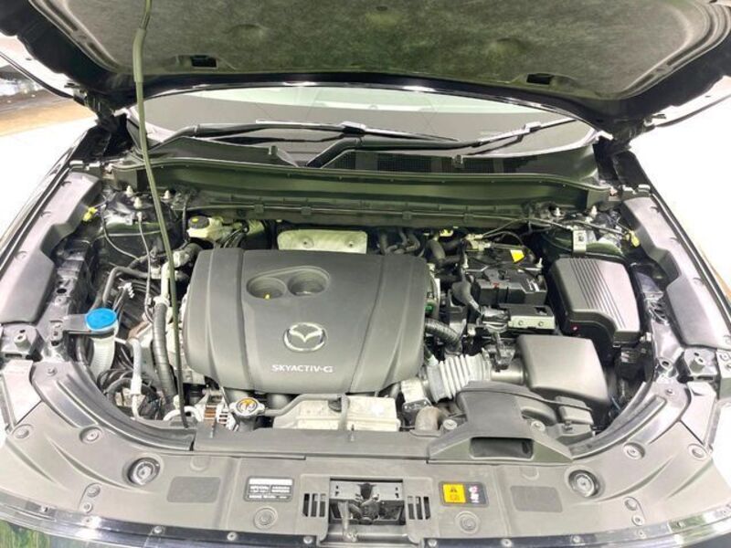 CX-8