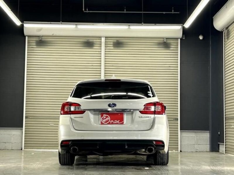 LEVORG