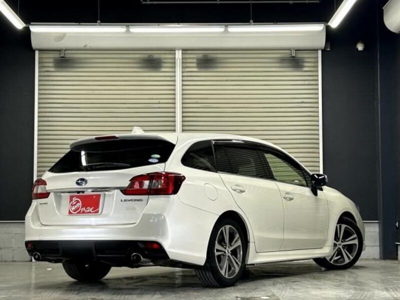 LEVORG