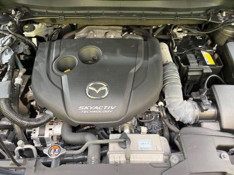 CX-8
