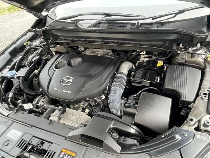 CX-8