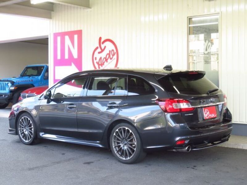 LEVORG