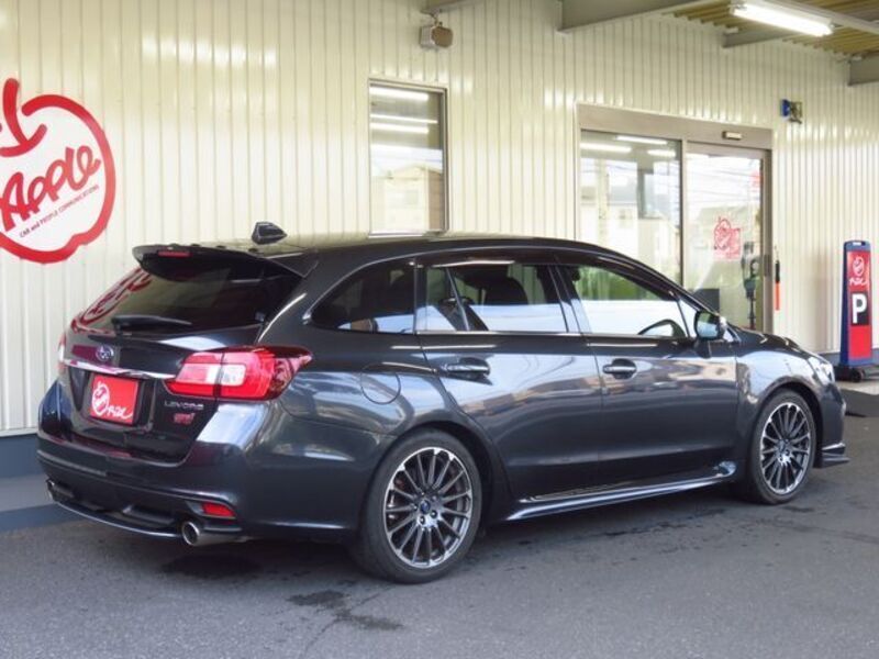 LEVORG