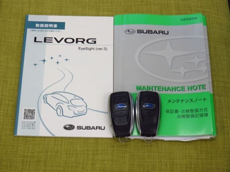 LEVORG