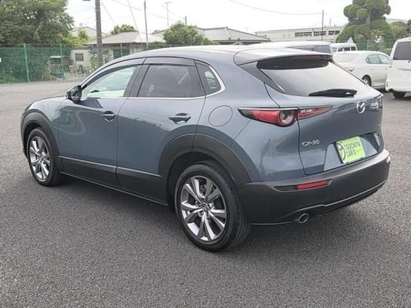 CX-30