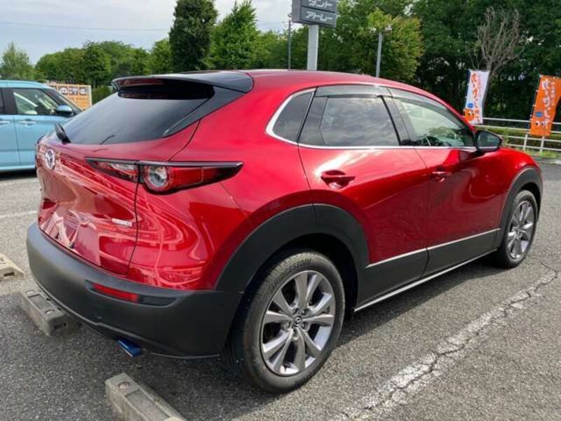 CX-30