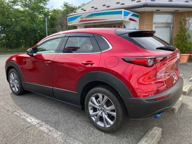 CX-30