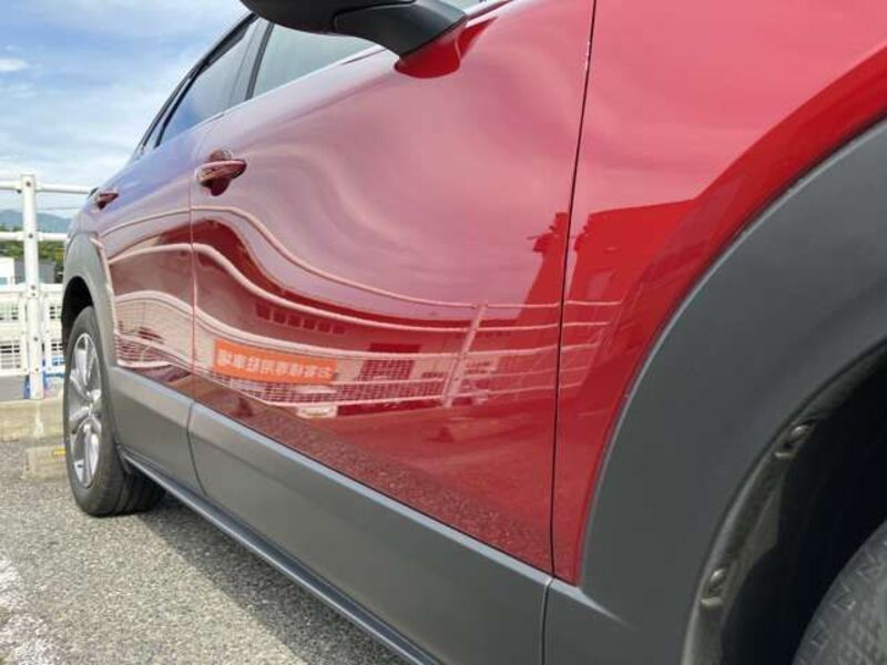 CX-30