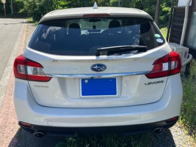 LEVORG